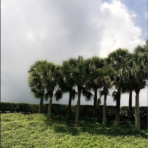 Meet your Posher, Alaina